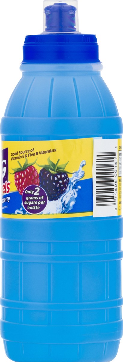 slide 2 of 12, Big Hug Fruit Barrels Blue Raspberry Fruit Drink 16 oz, 16 oz