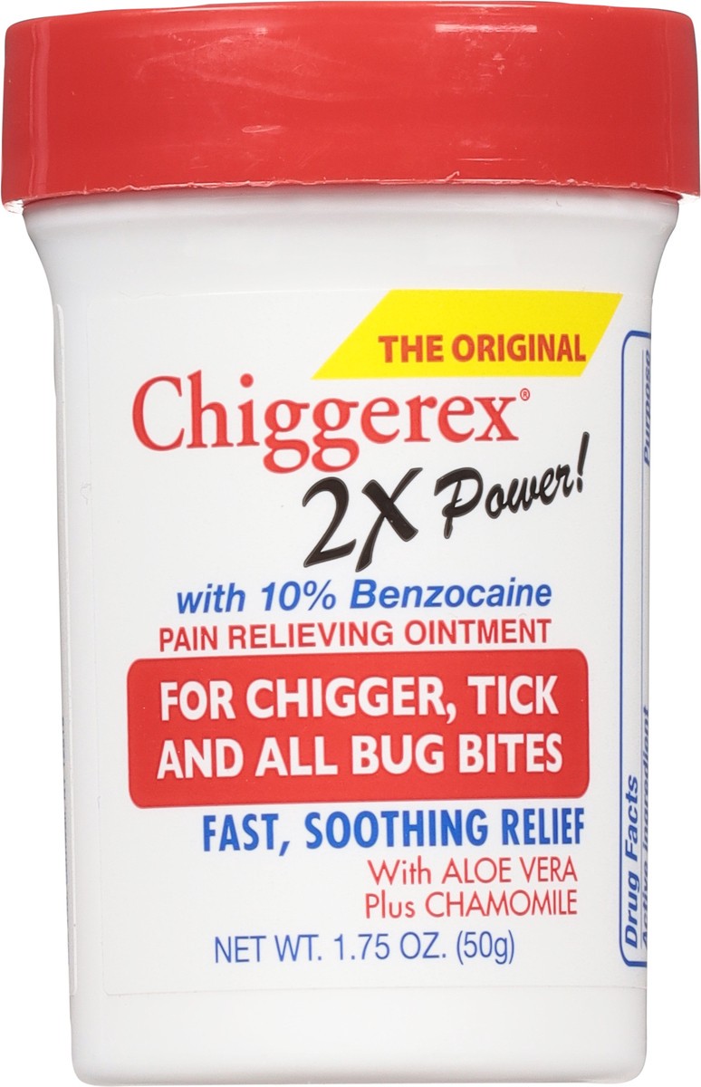 slide 6 of 10, Chiggerex The Original Pain Relieving Ointment 1.75 oz, 1.75 oz