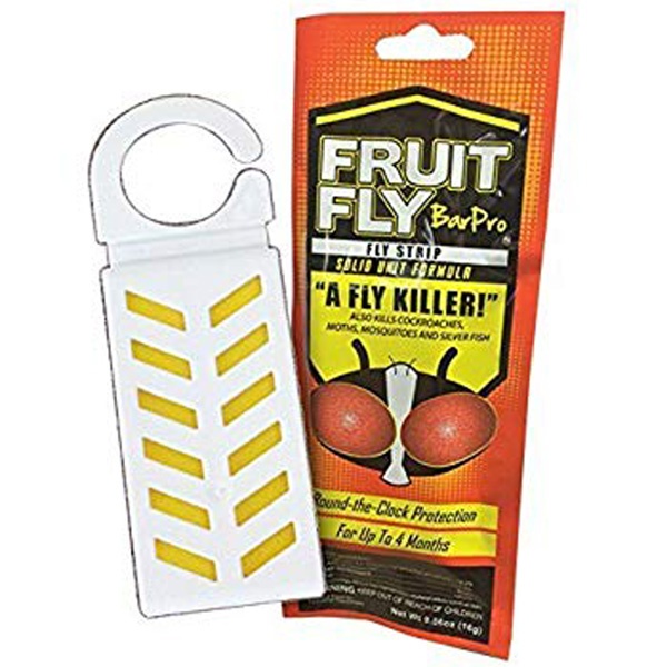 slide 1 of 1, Fruit Fly BarPro Fly Strip, 1 ct