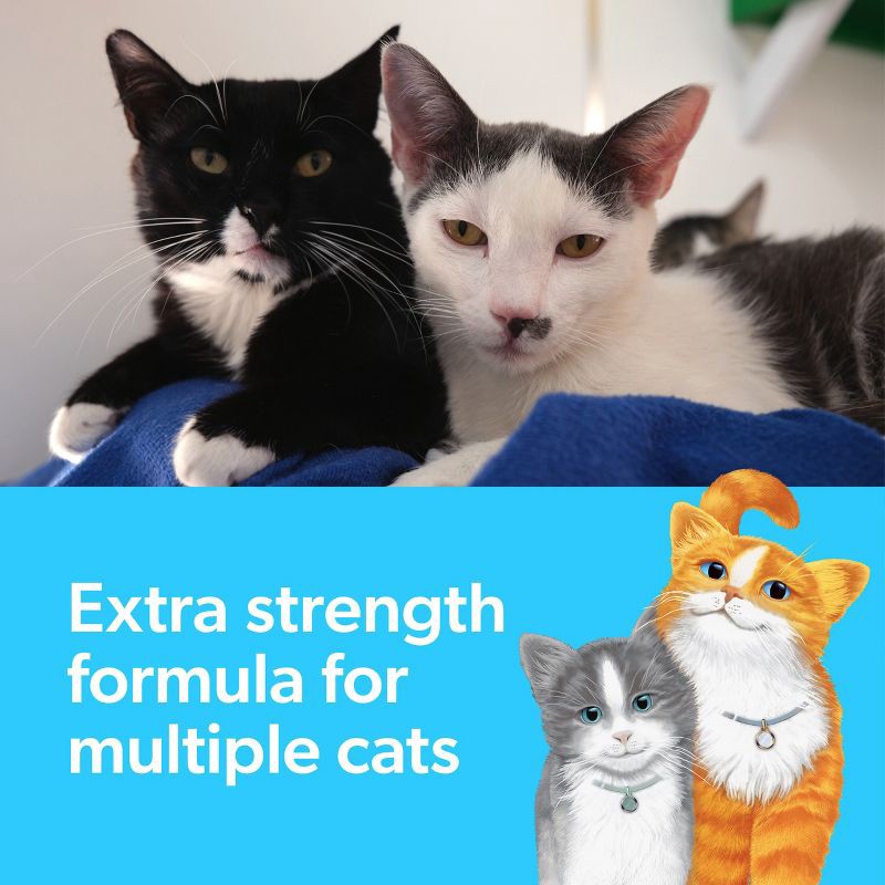 slide 5 of 15, Fresh Step Multi-Cat Scented Litter with the Power of Febreze Clumping Cat Litter - 25lb, 25 lb