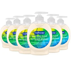 Softsoap Liquid Hand Soap Pump, Soothing Aloe Vera - 7.5 Fluid Ounce