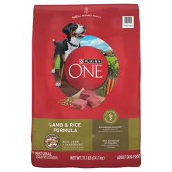 ONE Purina ONE Dry Dog Food Lamb and Rice Formula