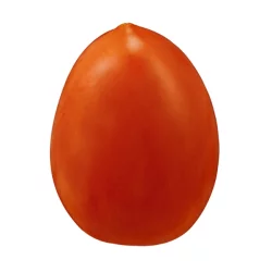 Plum Roma Tomatoes