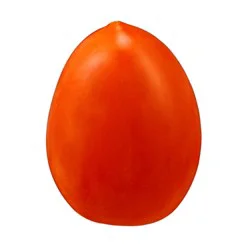 Plum Roma Tomatoes