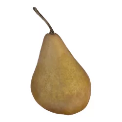 Bosc Pears