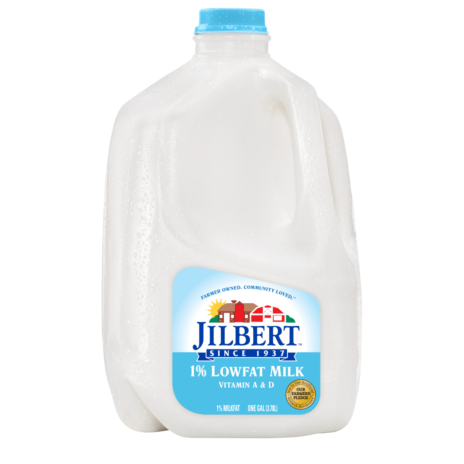 slide 1 of 1, JILBERT DAIRY Milk 1 gl, 1 gal