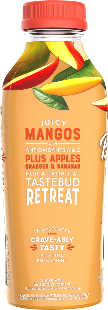 slide 12 of 13, Bolthouse Farms Fruit Juice Smoothie, Amazing Mango- 15.2 oz, 15.20 fl oz