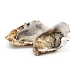 Select East Coast Oysters