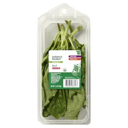 Nature's Basket Basil, Organic, Value Size
