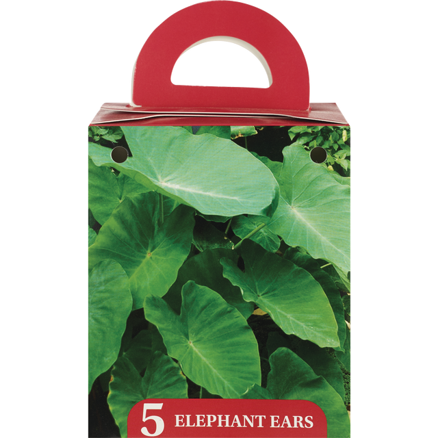 slide 1 of 1, Assorted Spring Bulbs, 1 ct