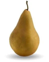 Organic Bosc Pears