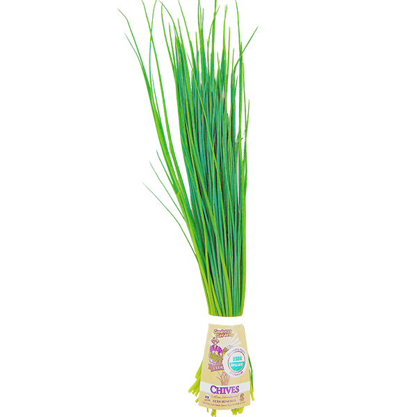 slide 1 of 1, Goodness Gardens Organic Chives Bunch, 1 ct