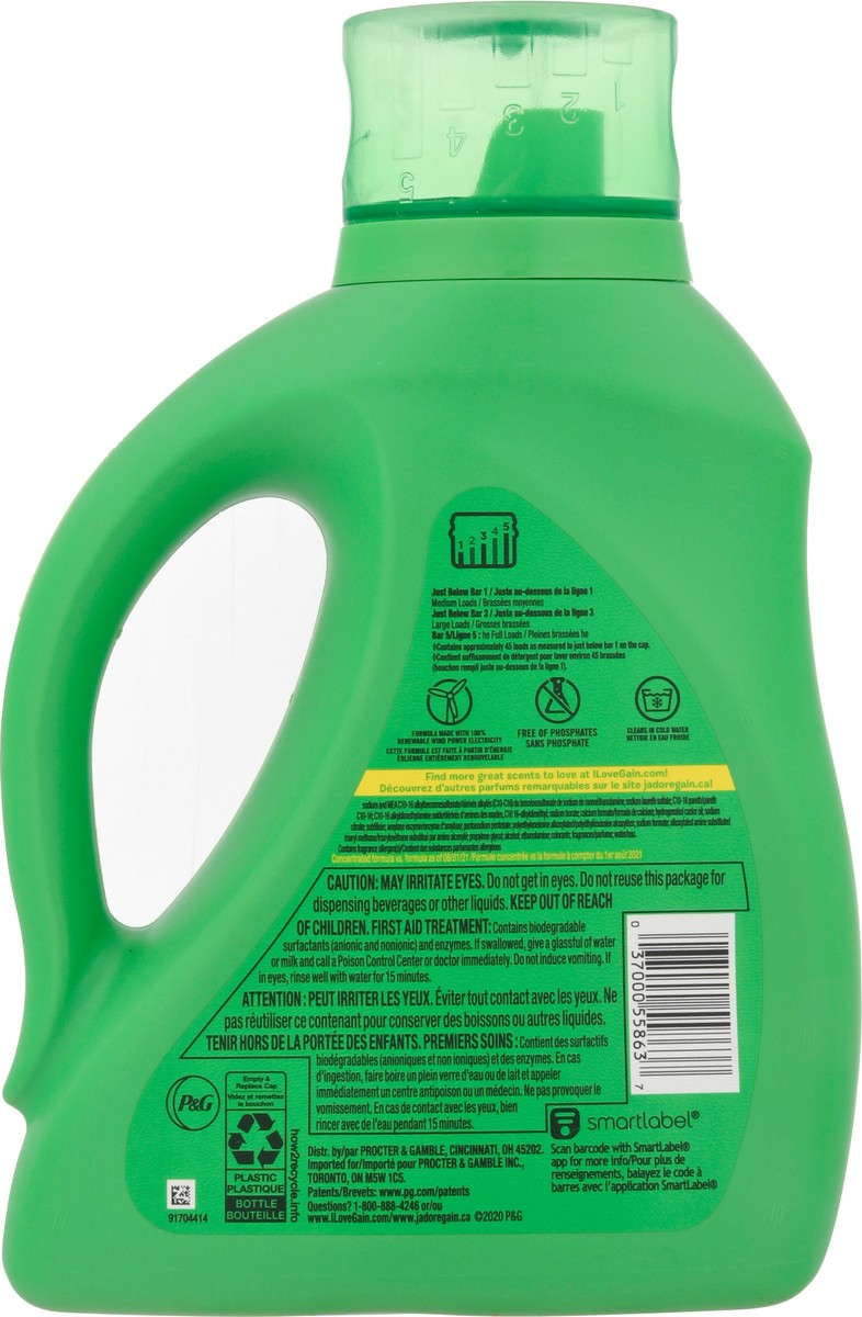 slide 5 of 11, Gain +Aroma Boost Original Detergent 65 fl oz, 65 fl oz