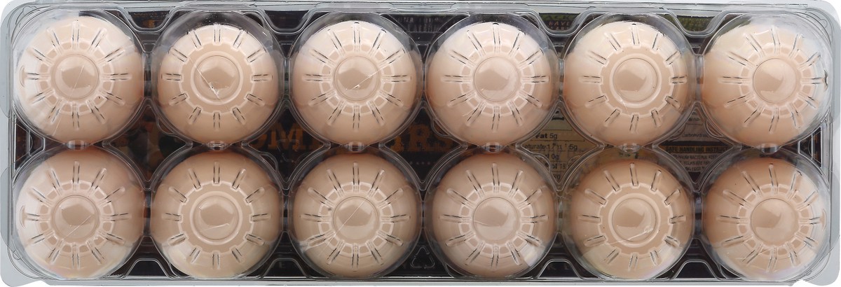 slide 4 of 9, Nellie's Free Range Brown Eggs Large - 12 ct, 12 ct