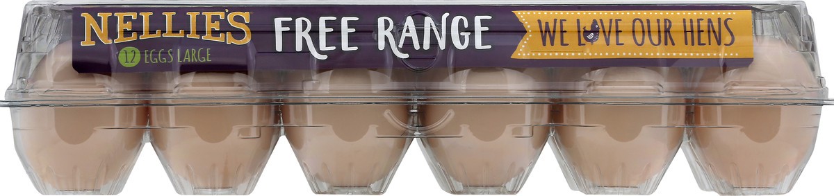 slide 3 of 9, Nellie's Free Range Brown Eggs Large - 12 ct, 12 ct
