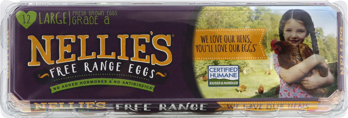 slide 8 of 9, Nellie's Free Range Brown Eggs Large - 12 ct, 12 ct