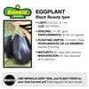 slide 6 of 9, Bonnie Plants  Eggplant Black Beauty, 19.3 oz