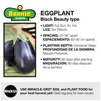 slide 7 of 9, Bonnie Plants  Eggplant Black Beauty, 19.3 oz