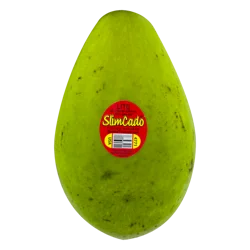 Avocado Florida