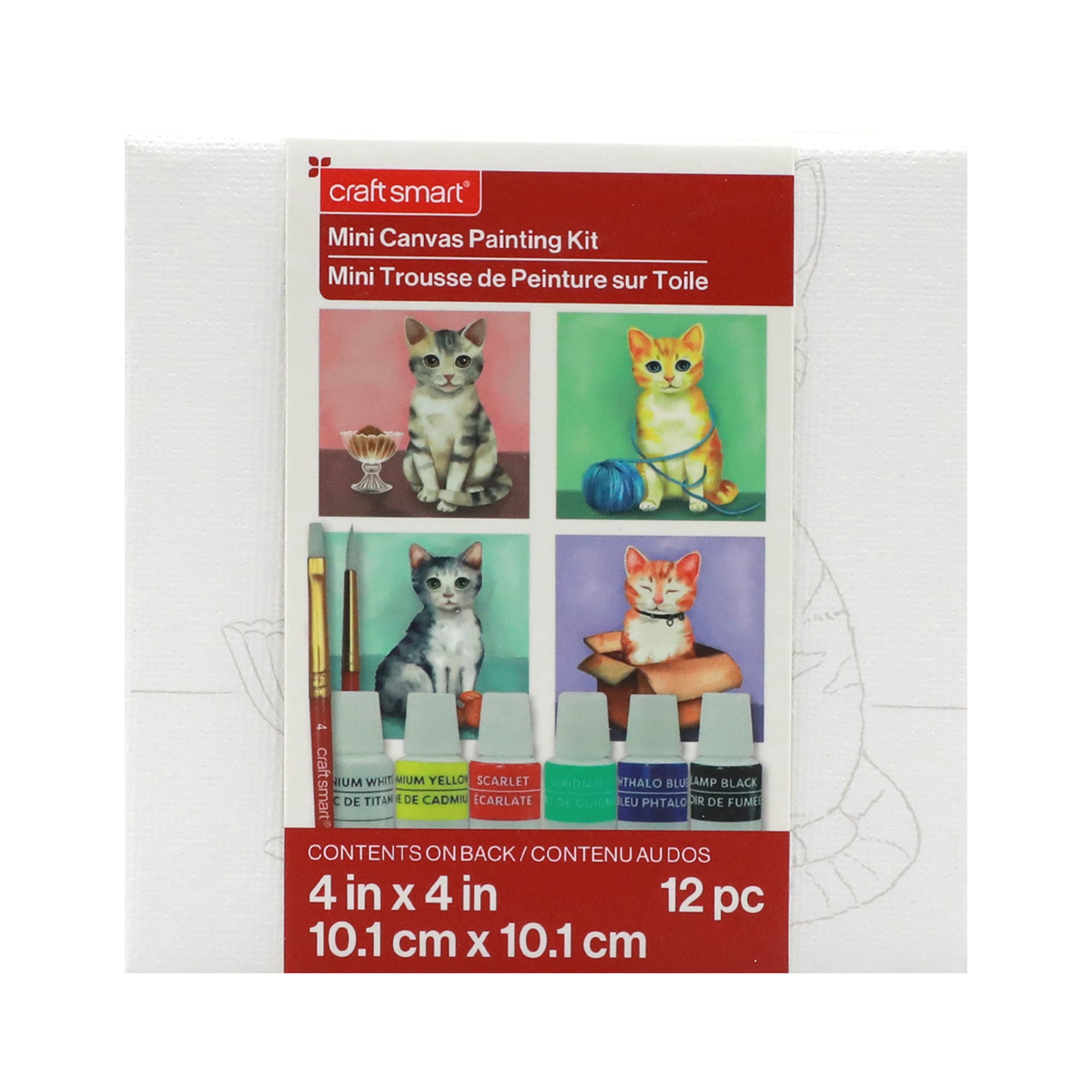 slide 3 of 8, Cats Mini Canvas Painting Kit By Craft Smart, 4 in x 4 in