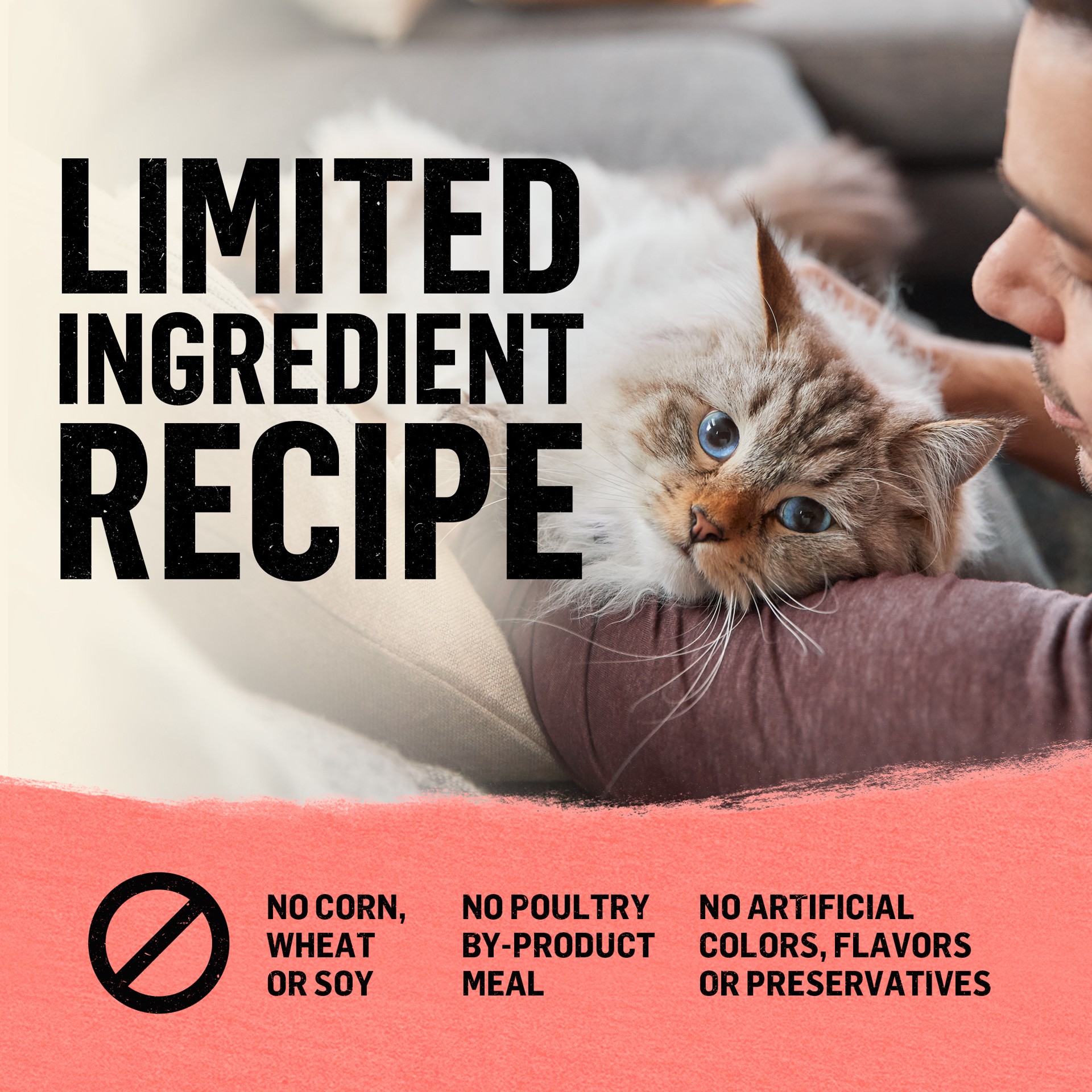 slide 6 of 9, Beyond Purina Beyond Natural Grain Free Dry Cat Food Simply Indoor Salmon, Egg and Sweet Potato Recipe, 11 lb