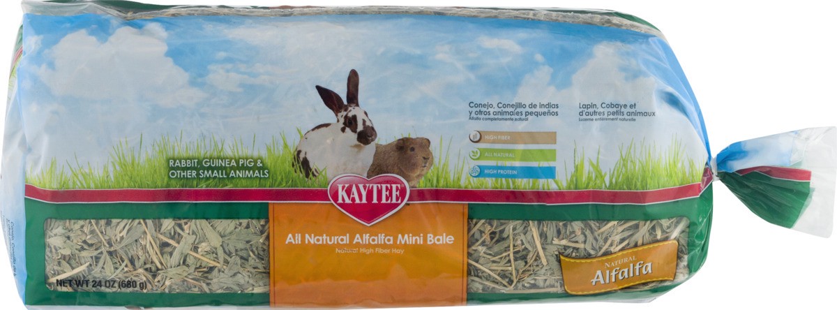 slide 8 of 9, Kaytee All Natural Alfalfa Mini Bale, 24 oz