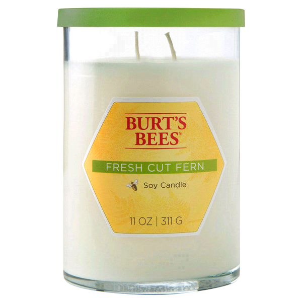 slide 1 of 1, Burt's Bees Fresh Cut Fern Natural Soy Candle, 11 oz