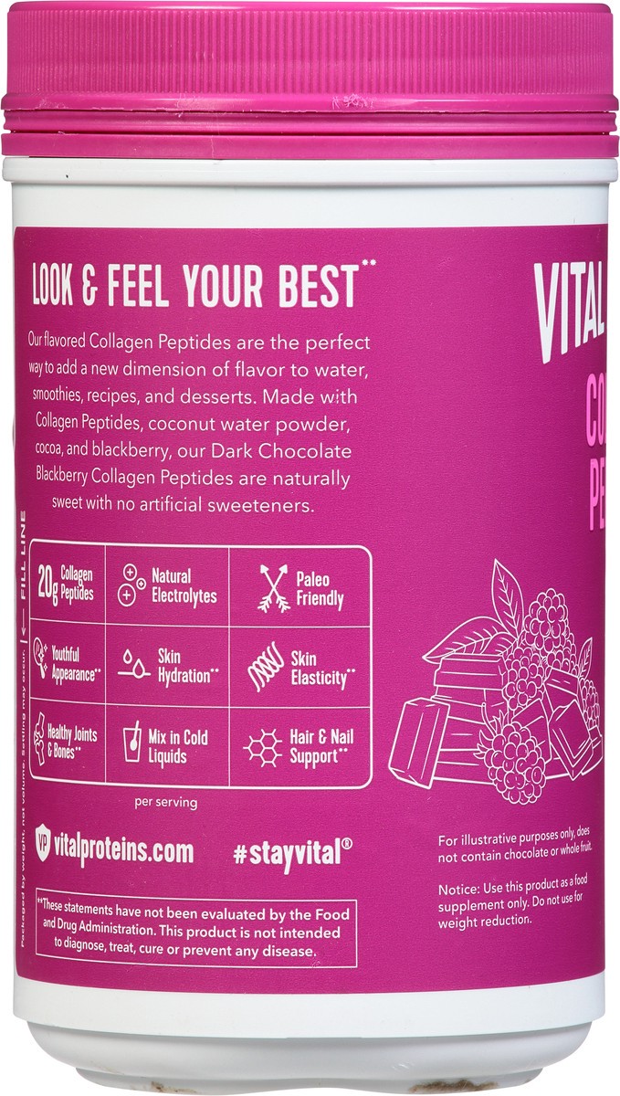 slide 5 of 14, Vital Proteins Dark Chocolate Blackberry Collagen Peptides 10.8 oz, 10 oz