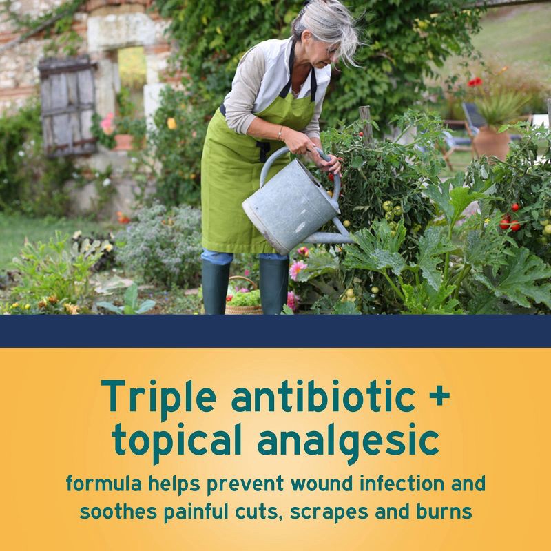 slide 3 of 7, Neosporin 24 Hour Infection Protection Pain Relief Ointment - 0.5oz, 0.5 oz