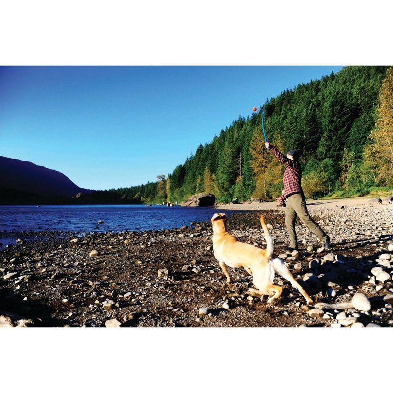 slide 4 of 4, Chuckit! Ball Launcher Dog Toy - M - 22", 1 ct