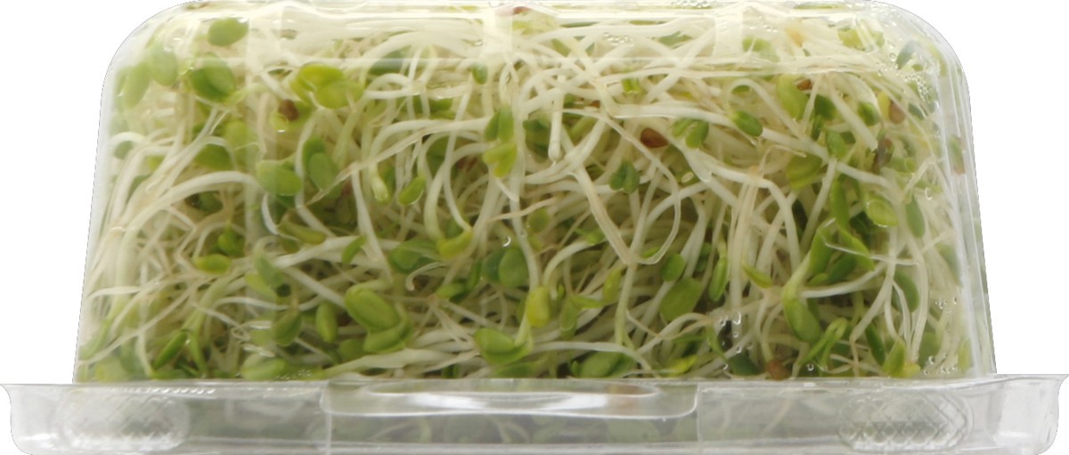 slide 2 of 3, Life Force Foods Sprout Blend 4 oz, 4 oz