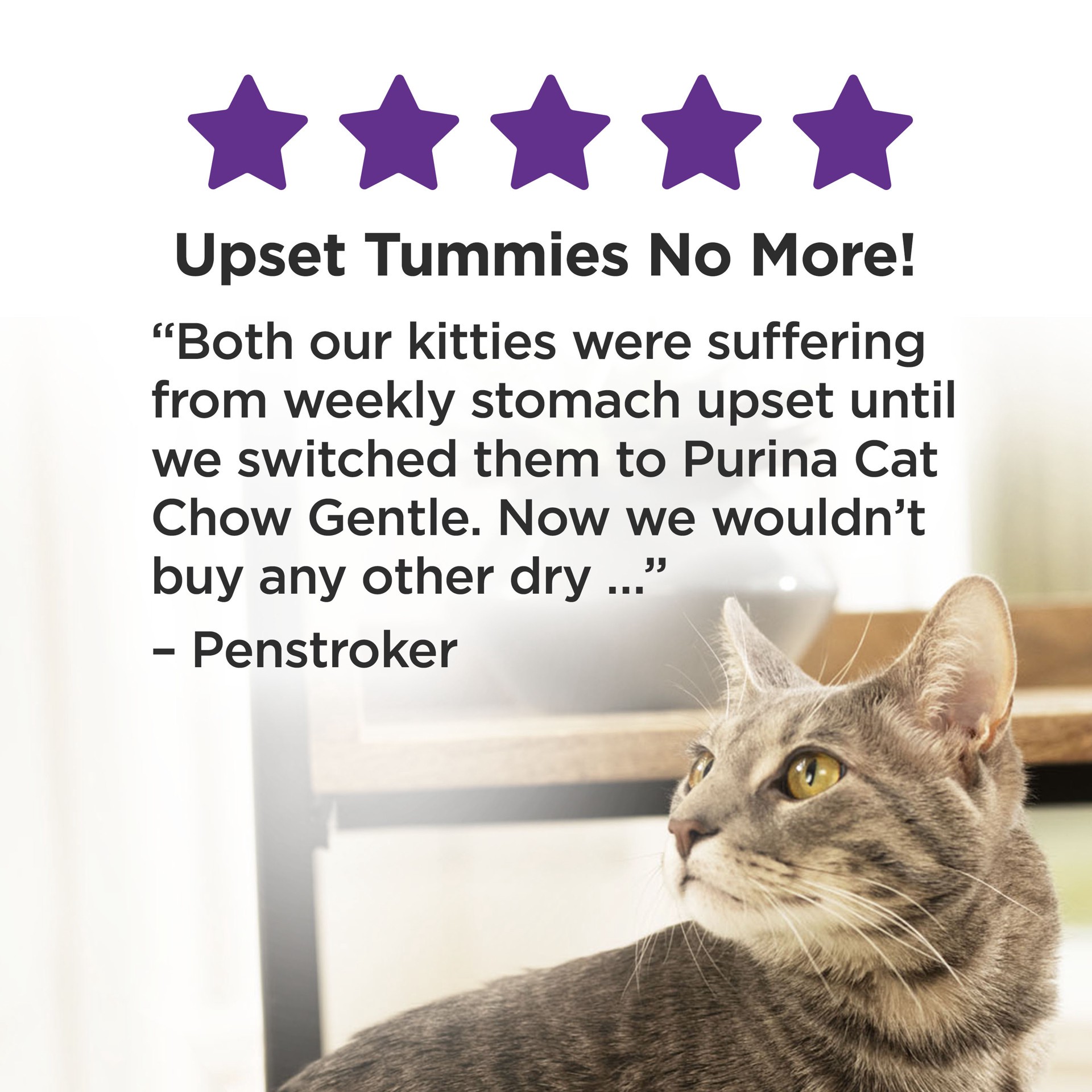 slide 6 of 9, Cat Chow Purina Cat Chow Gentle Dry Cat Food, Sensitive Stomach + Skin - 6.3 lb. Bag, 6.30 ct