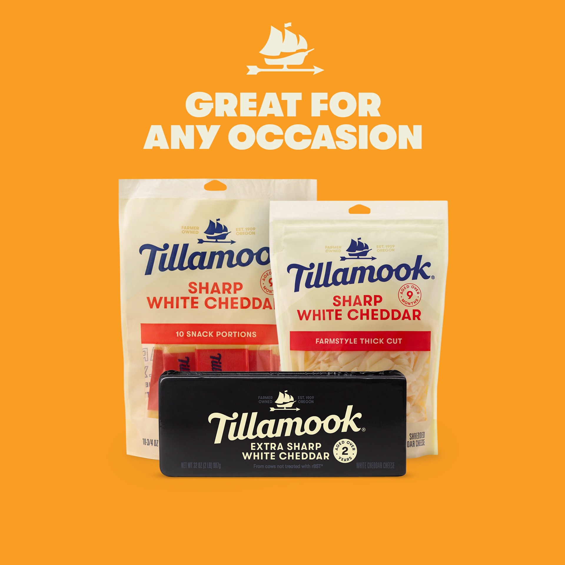 slide 4 of 5, Tillamook Extra Sharp White Cheddar Cheese Block, 