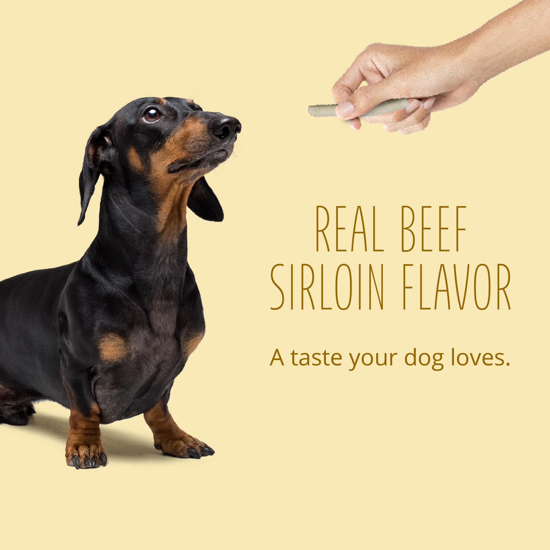 slide 3 of 10, Better Belly Proteins Real Beef Sirloin Dog Chew, 10.5 oz