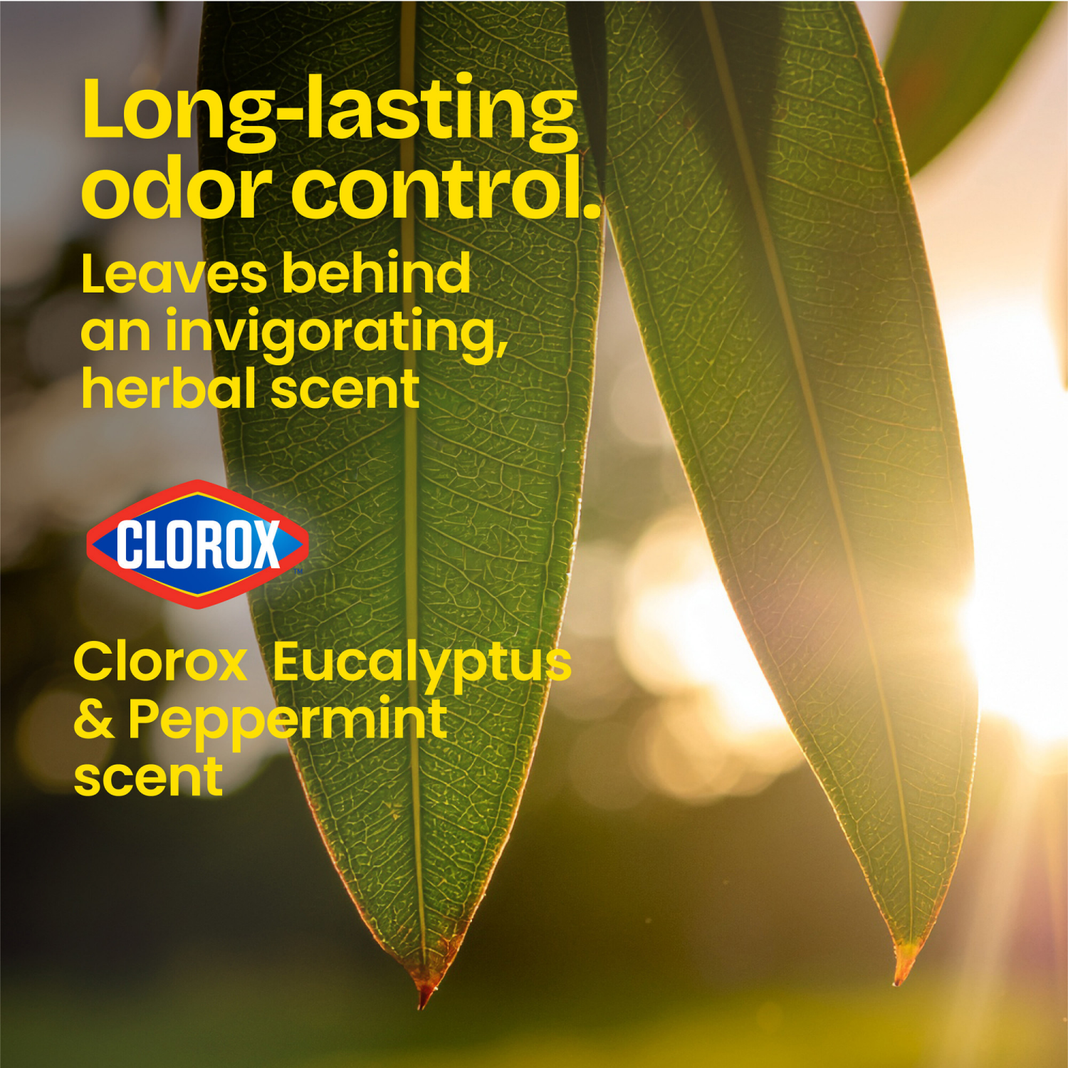 slide 4 of 8, Glad ForceFlexPlus with Clorox Tall Kitchen Eucalyptus Peppermint Trash Bags, 34 ct