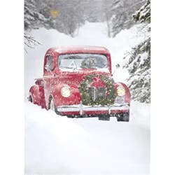 Avanti Dogs In Truck