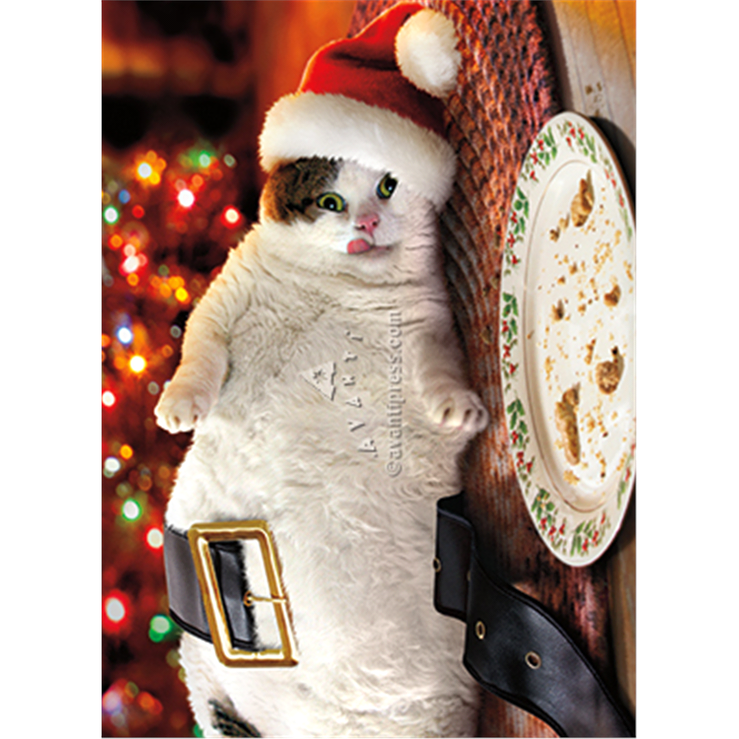 slide 1 of 1, Avanti Santa Cat W Cookies, 1 ct