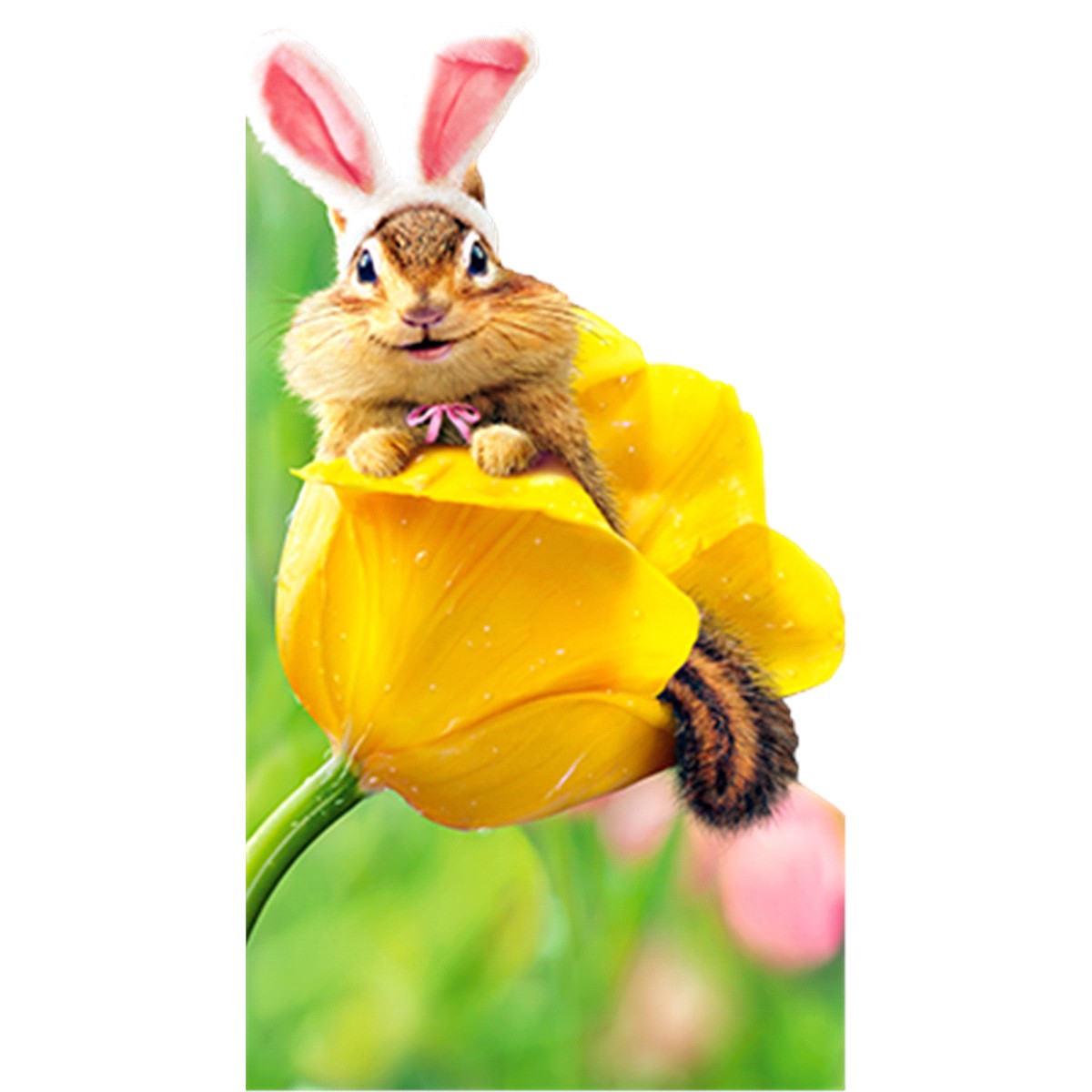 slide 1 of 1, Avanti Chipmunk Bunny In Tulip, 1 ct