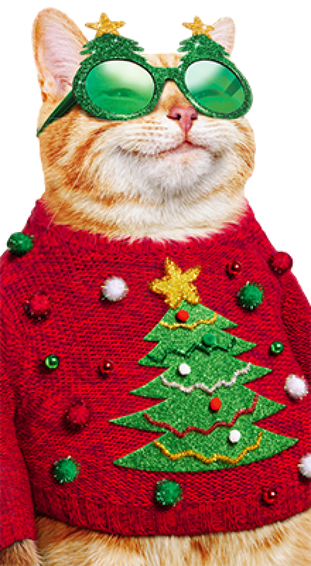 slide 1 of 1, Avanti Cat/Ugly Christmas Sweate, 1 ct