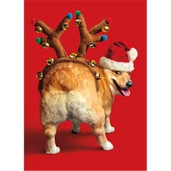 Avanti Card Christmas Dog Reindeer Butt