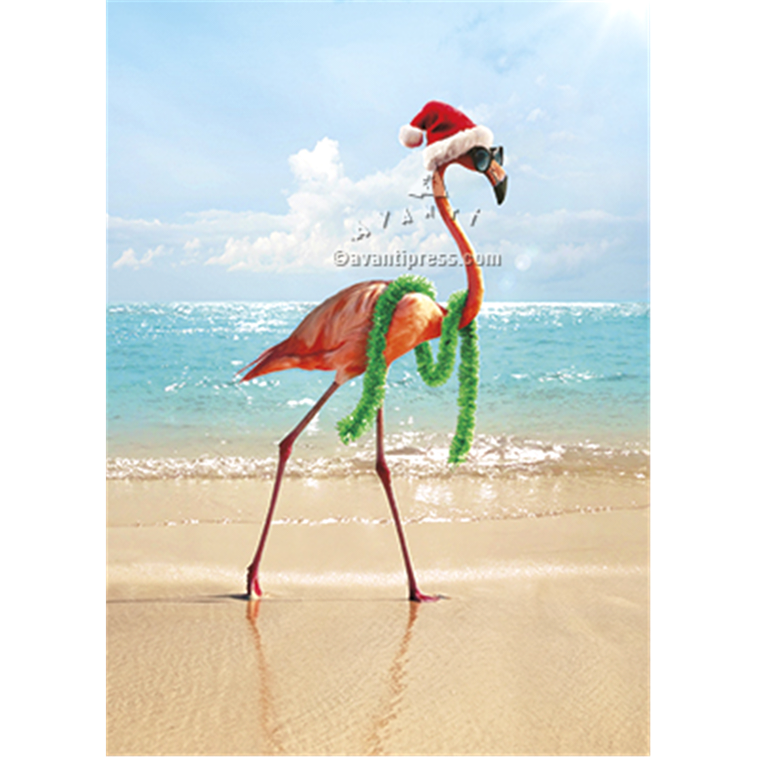 slide 1 of 1, Avanti Boxed Christmas Card set, 1 ct