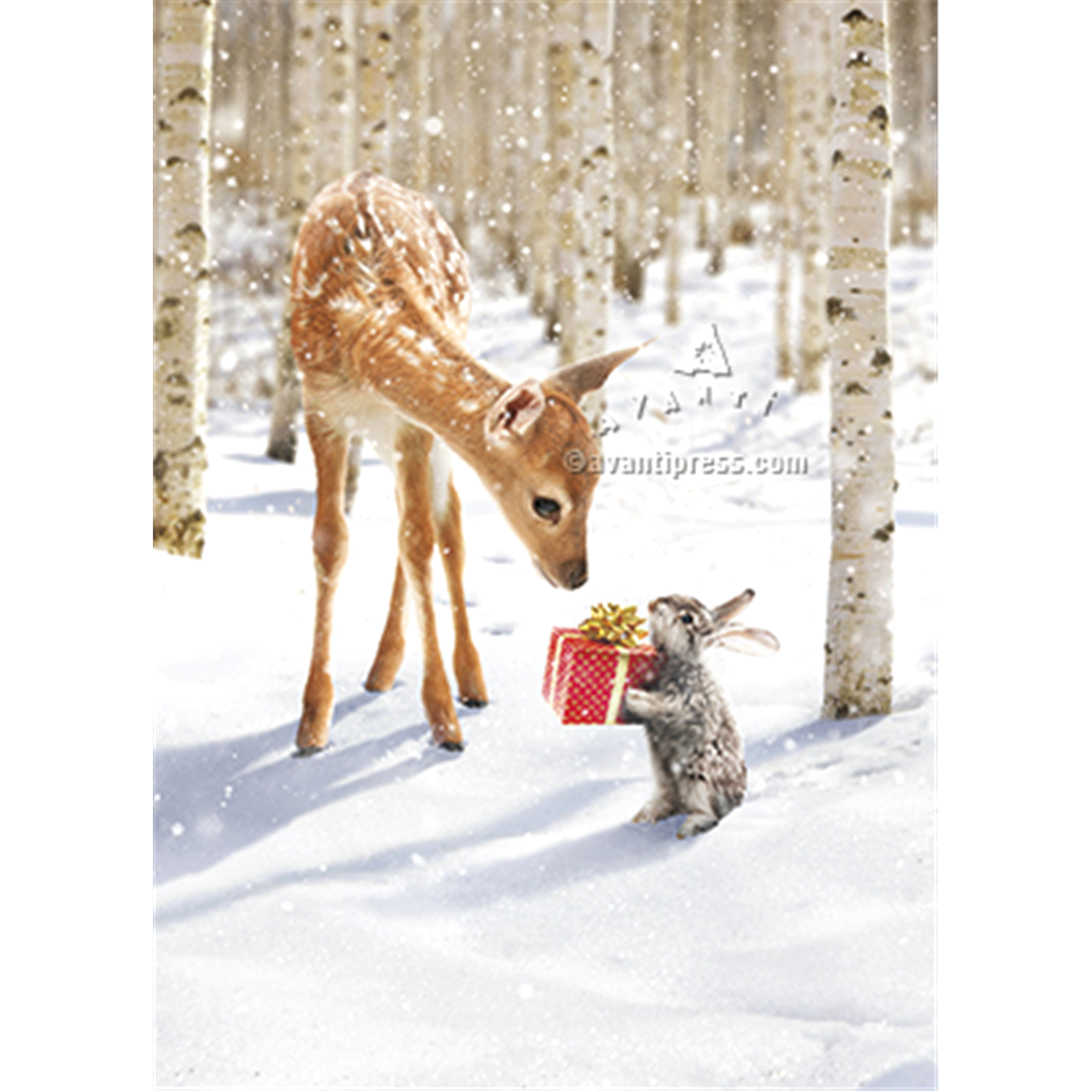 slide 1 of 1, Avanti Boxed Christmas Card Set, 1 ct