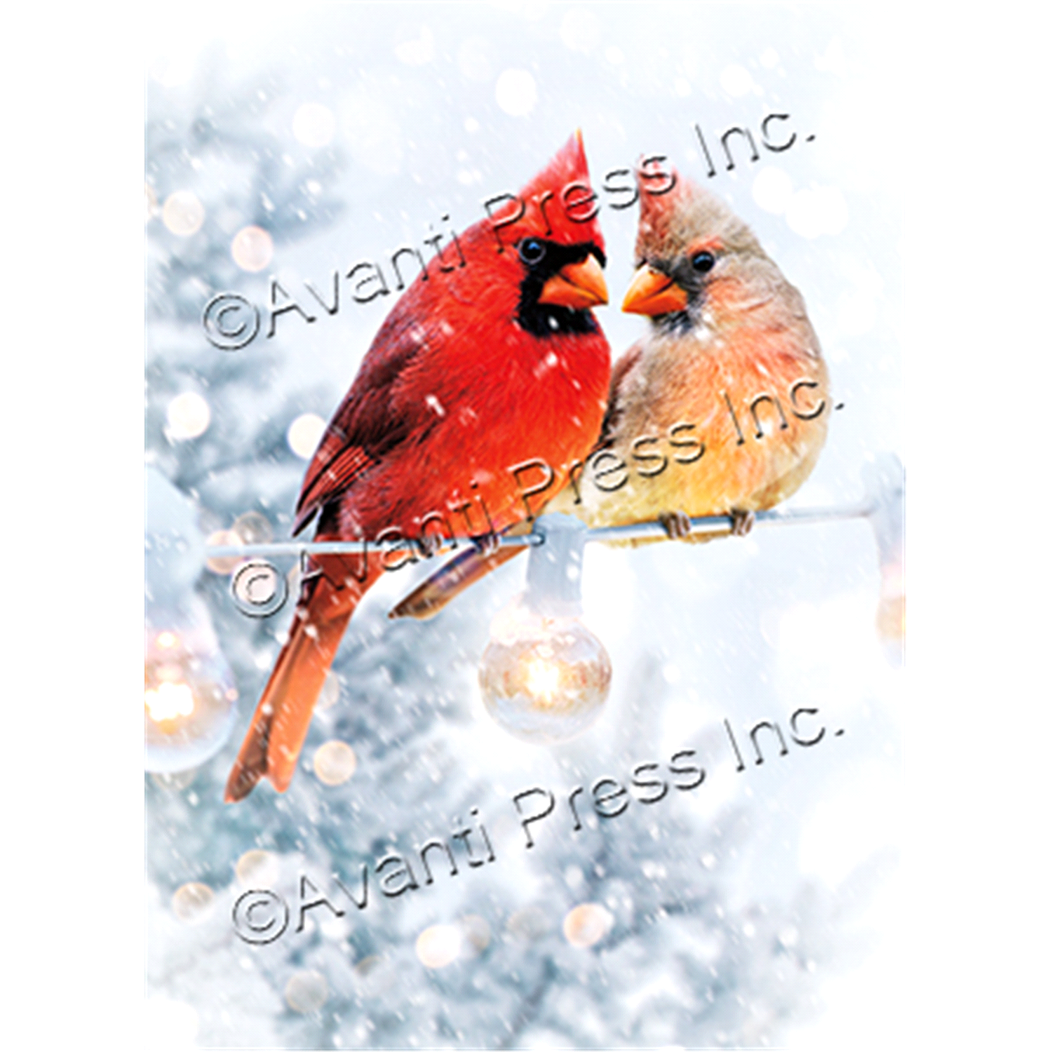 slide 1 of 1, Avanti Boxed Christmas Cards Christmas Cardinals, 1 ct