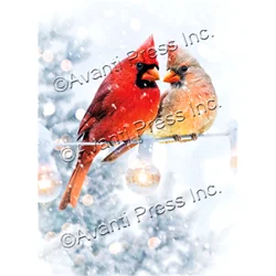 Avanti Boxed Christmas Cards Christmas Cardinals