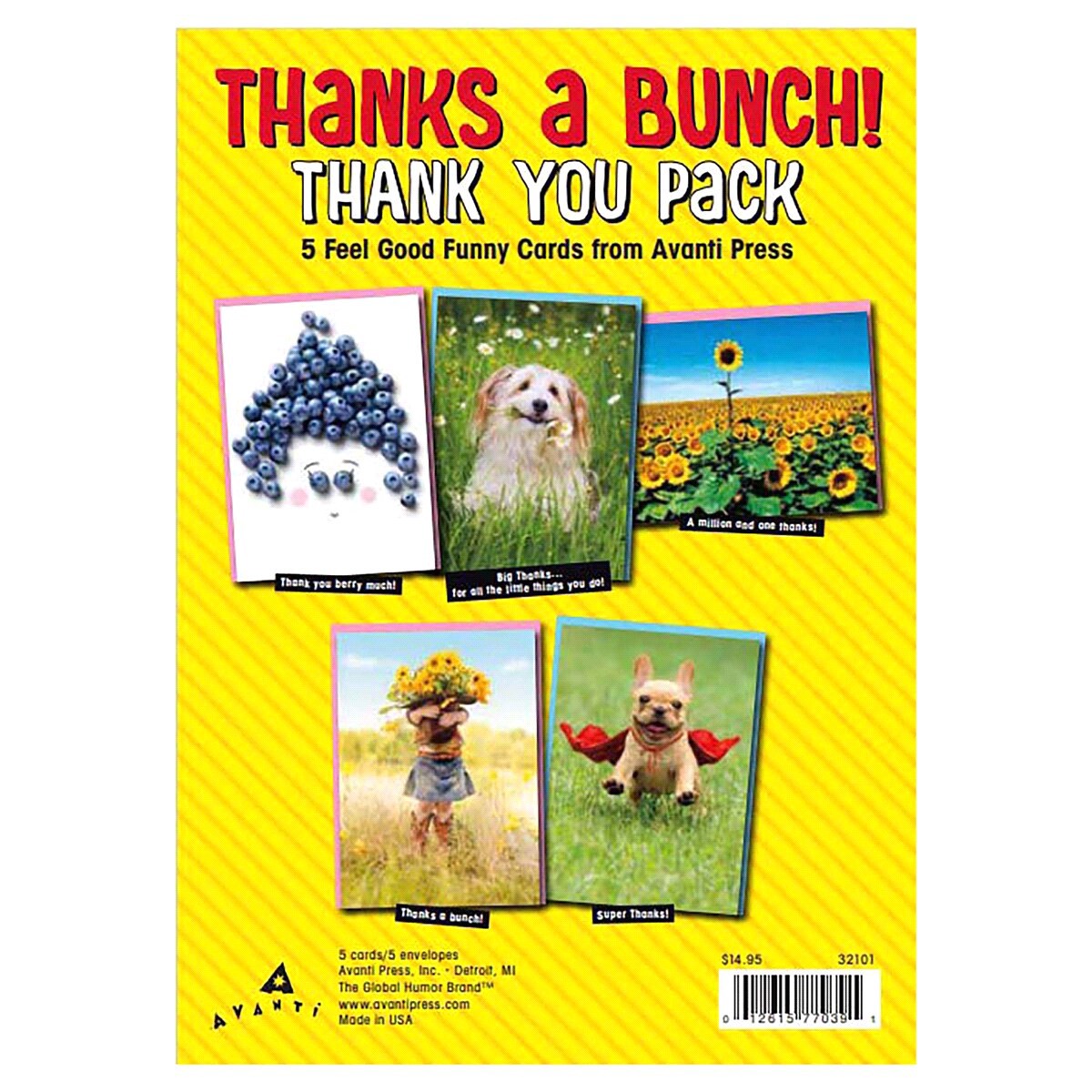 slide 2 of 2, Avanti Card Thank You Encouragement Multipk, 5 ct