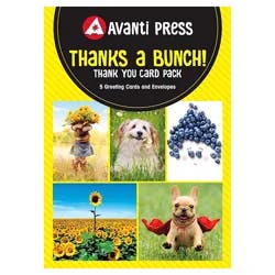 Avanti Card Thank You Encouragement Multipk