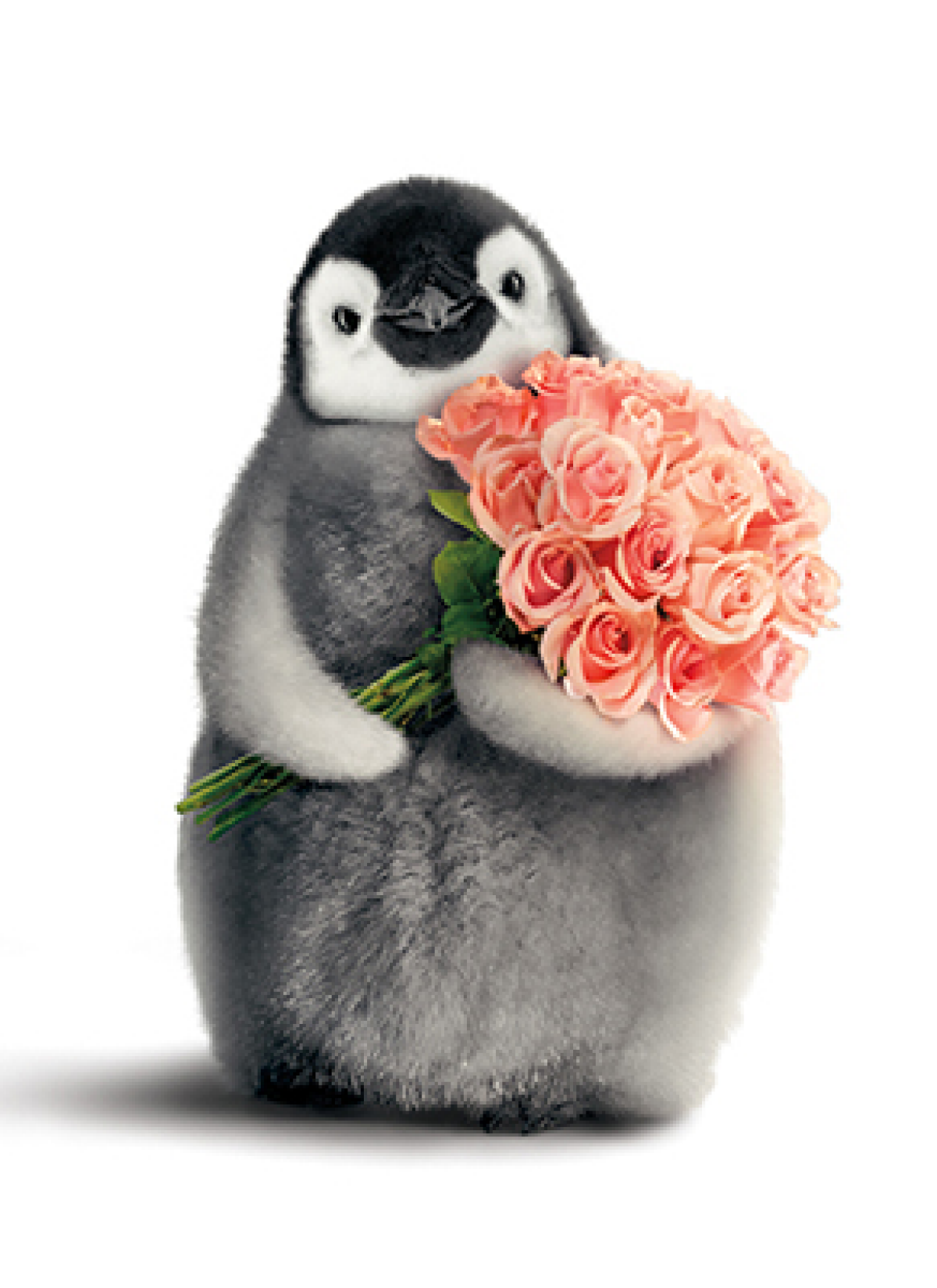 slide 1 of 1, Avanti Card Valentine Penguin With Flower Bouquet, 1 ct