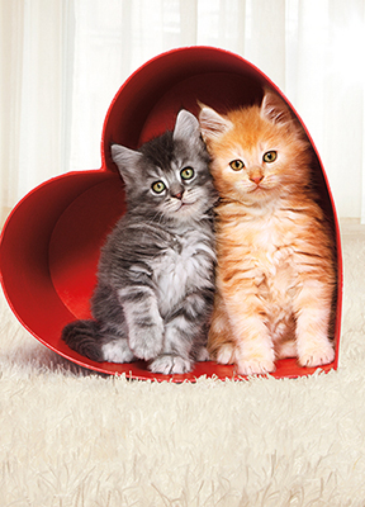 slide 1 of 1, Avanti Card Valentine Two Kittens In Heart Box, 1 ct