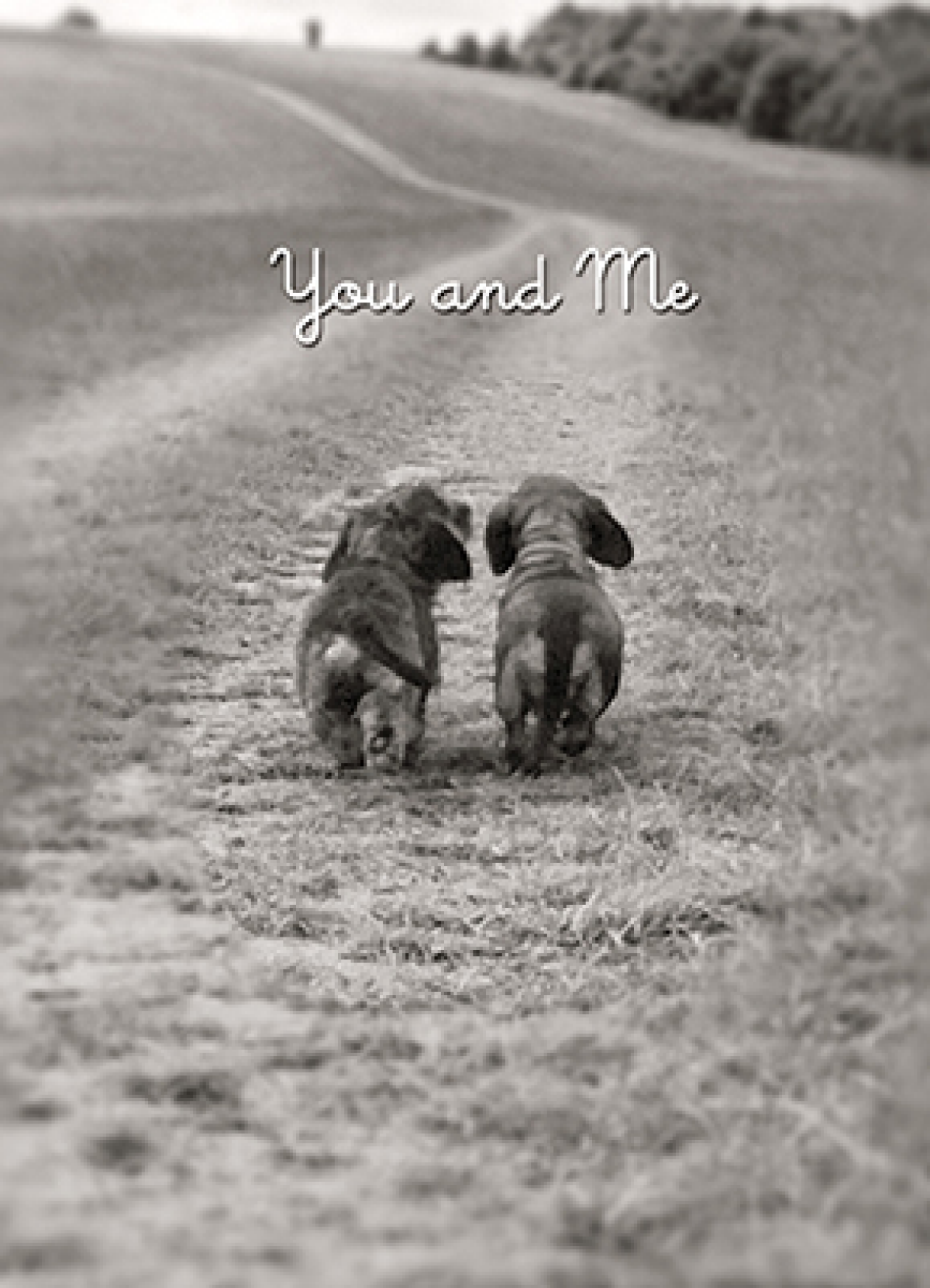 slide 1 of 1, Avanti Press Dog Couple On Path - Val Versi, 1 ct