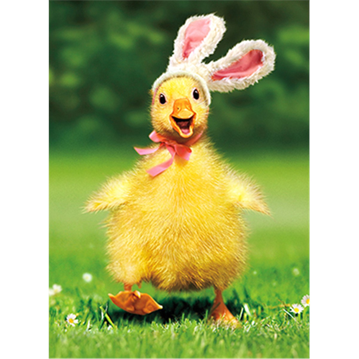 slide 1 of 1, Avanti Card Easter Duckling Bunny, 1 ct